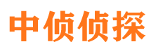 栾城市婚姻调查